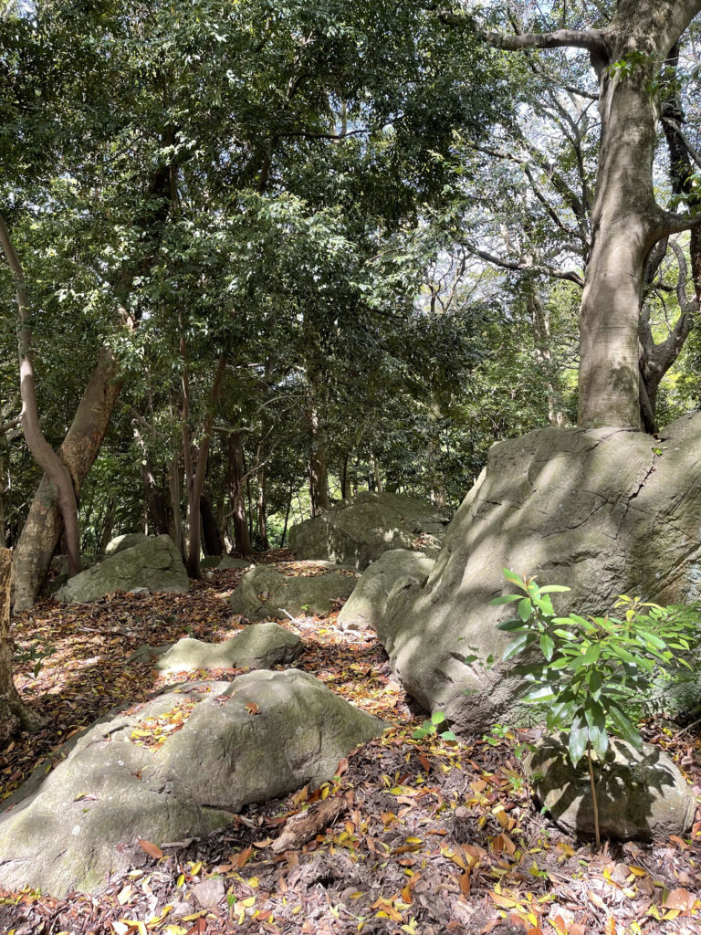 🔹 磐座(いわくら)  